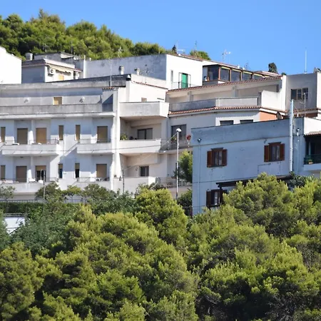 Belvedere *