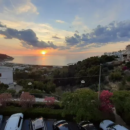 Belvedere *